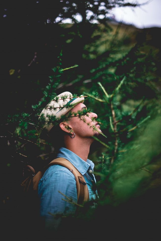 lkawani-portrait-robin-3